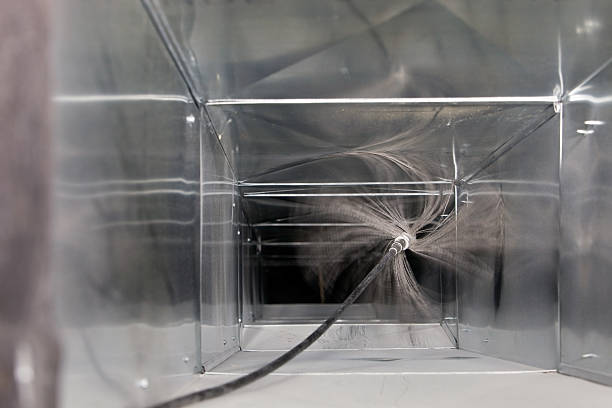 Best Air Duct Mold Removal  in Tuscoosa, AL
