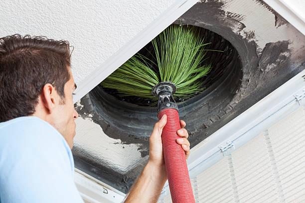 Best General Air Duct Cleaning  in Tuscoosa, AL