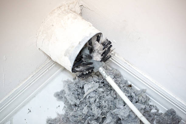 Best HVAC Duct Inspection Services  in Tuscoosa, AL