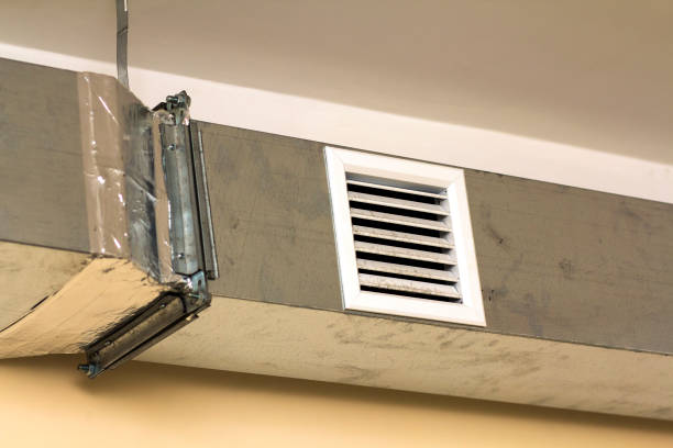 Air Duct Mold Removal in Tuscaloosa, AL
