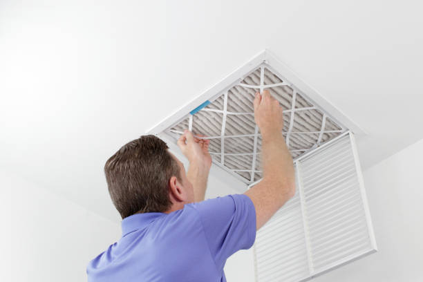Best Affordable Duct Cleaning Services  in Tuscoosa, AL